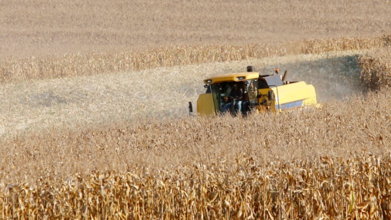 Paran&aacute; se Consolida como Novo Polo de Etanol de Milho com Salto de 71% na Produ&ccedil;&atilde;o