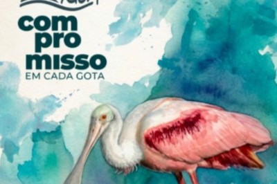 Proteger os mananciais e as florestas &eacute; uma miss&atilde;o do saneamento