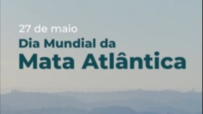 Saneamento e Mata Atl&acirc;ntica: entenda a rela&ccedil;&atilde;o que impacta diretamente Paranagu&aacute;